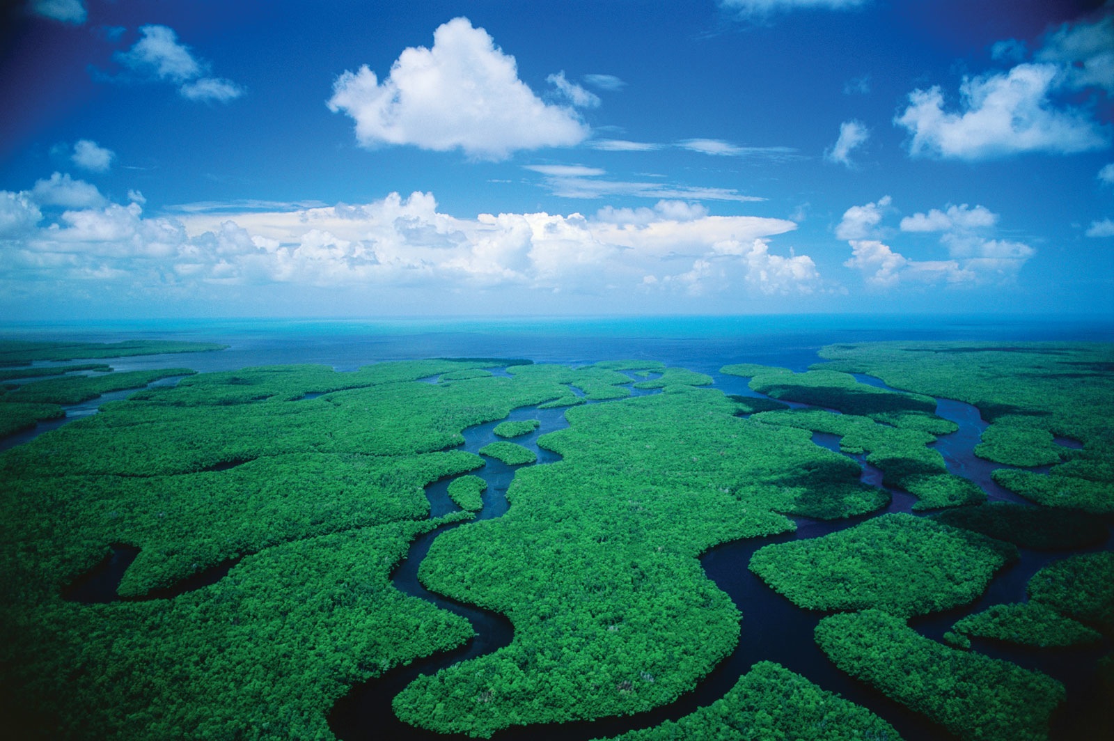 everglades aerial view